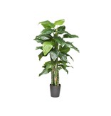 Multi Meubel HTT Decorations - kunstplant Philodendron H180cm