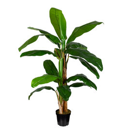 Multi Meubel HTT Decorations - kunstplant Bananenplant H180cm