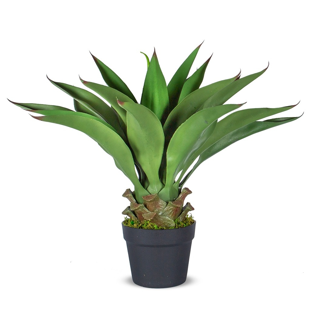 Multi Meubel HTT Decorations - kunstplant Agave vetplant H60cm