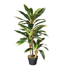 Multi Meubel HTT Decorations - kunstplant Cordyline breedbladig H100cm