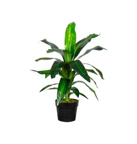 Multi Meubel HTT Decorations - kunstplant Dracaena Fragans H60cm - Collectie