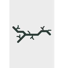 Van Esch Wandkapstok TREE HOOKED - Wandkapstokken