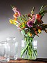DutZ Vases Nova Clear