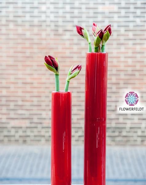 DutZ Cylinder vase tall red - H50/ H70 cm