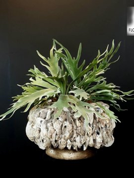 Pot en Vaas Oyster vase