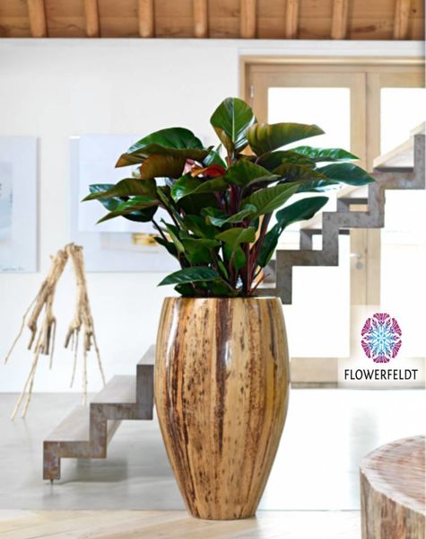 Plant pot Banana - H60 cm