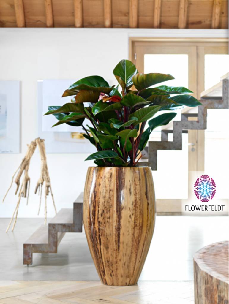 Wonderlijk Large flower pot Banana - Flower pots XXL - XXL flower pots online PG-36
