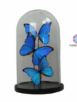 Pot en Vaas Bell jar with blue butterflies