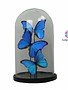 Pot en Vaas Bell jar with blue butterflies