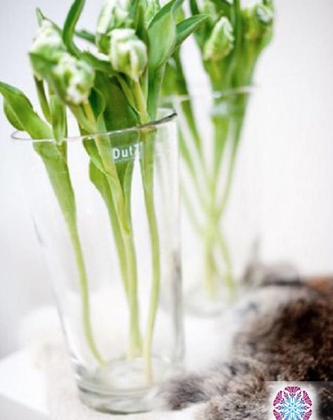 DutZ Conic vase clear high