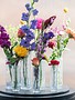 DutZ Cilinder vaas clear bubbles