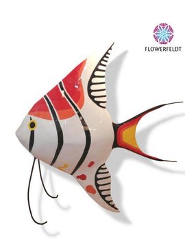 Sunfish red