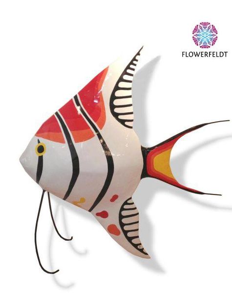 Standing sunfish red?