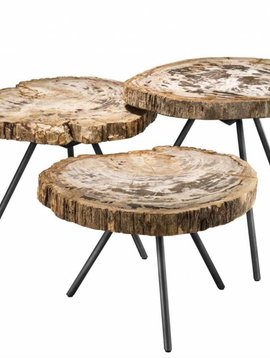 Eichholtz Coffee table De Soto