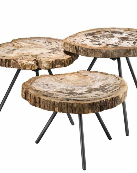 Eichholtz Salontafel van versteend hout