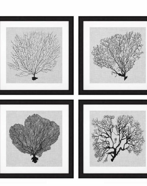 Eichholtz Prints Shadow Sea Fans