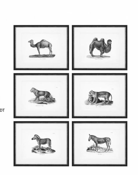 Eichholtz Prints Historical Animals
