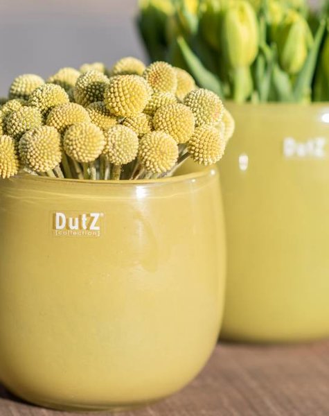 DutZ Potten mustard - H7 /H11/ H14/ H18 cm