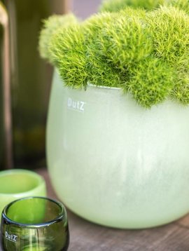 DutZ Pots lightgreen