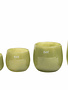 DutZ Flower pots Moss