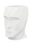 Head planter Adam