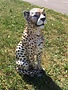Cheetah figurine