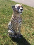 Gepard Figur