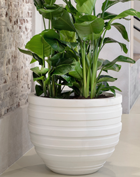 Pflanzkübel M Sydney - B90 cm