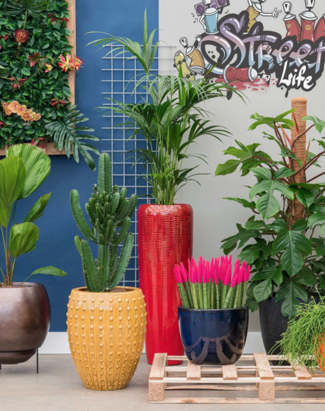 Bloempotten okergeel New Orleans - H80 cm