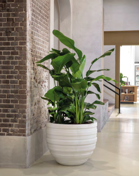 Flower pot XL Sydney - D110 cm