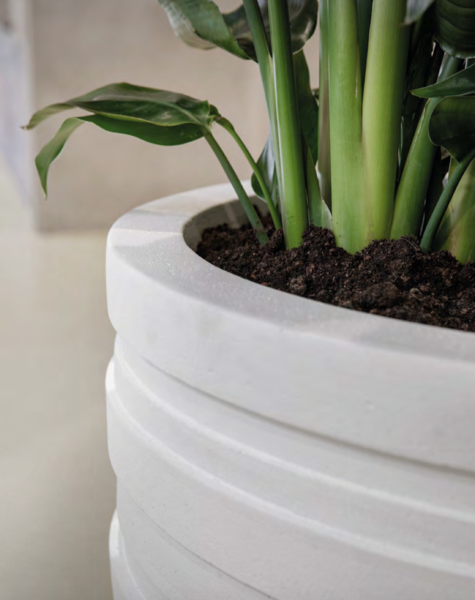 Pflanzkübel XXL Sydney Flowerfeldt Mega XXL Pflanzkübel?