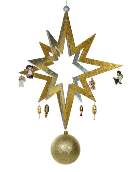 Goodwill Grote kerstster