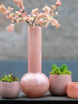 helaas wijk Knipperen Roze glazen vazen - Roze vaas kopen? Flowerfeldt.com - Flowerfeldt