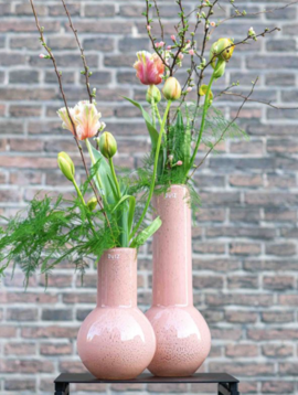 DutZ Vase Meryna apricot