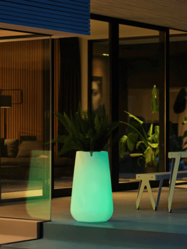 Illuminated planter