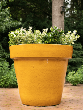 Yellow plant pot Izamal