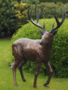 Bronze Hirsch