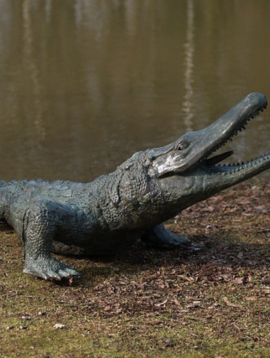 Bronze  crocodile