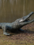 Bronzen krokodil