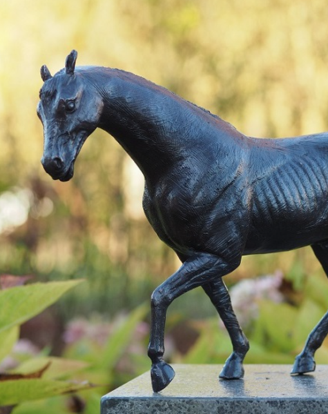 Pferd Statue Bronze - H24 cm
