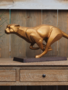 Cheetah figuur