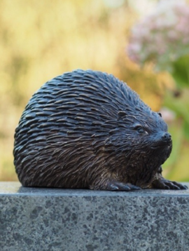 Garten statue porcupine