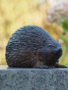 Gartenstatue Stachelschwein