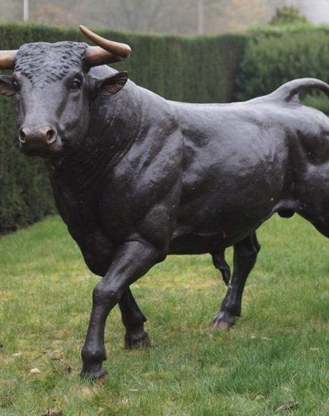 Bull statue Pablo - H170 cm
