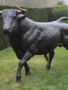 Bull statue Pablo