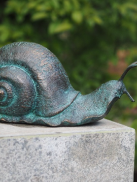 Snail garden statue Gary