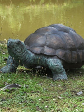 Schildkröte Figur Indy