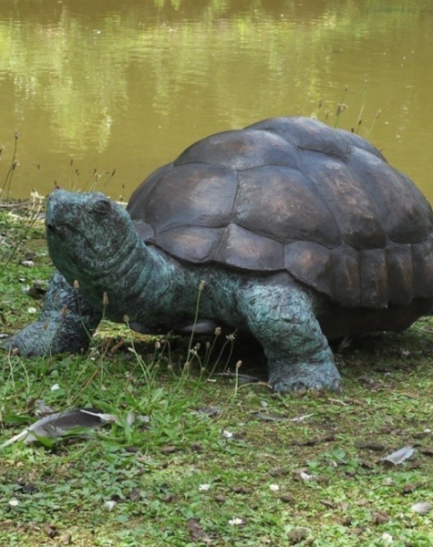 Schildpad beeld Indy - H35 cm