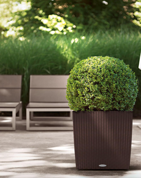 Plantenbak bruin Juneau - H40/ H50 cm