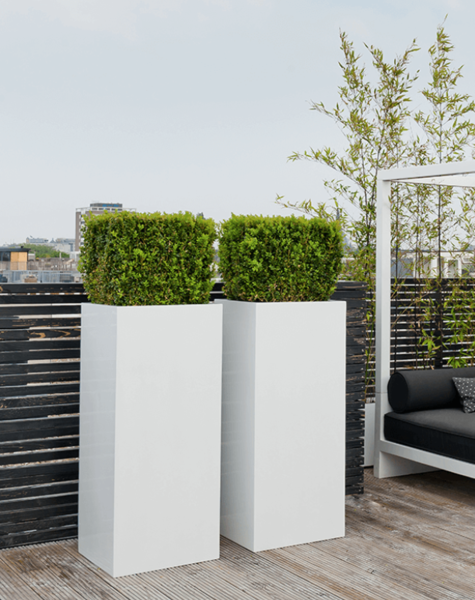 Large white pot Aspen - H120 cm